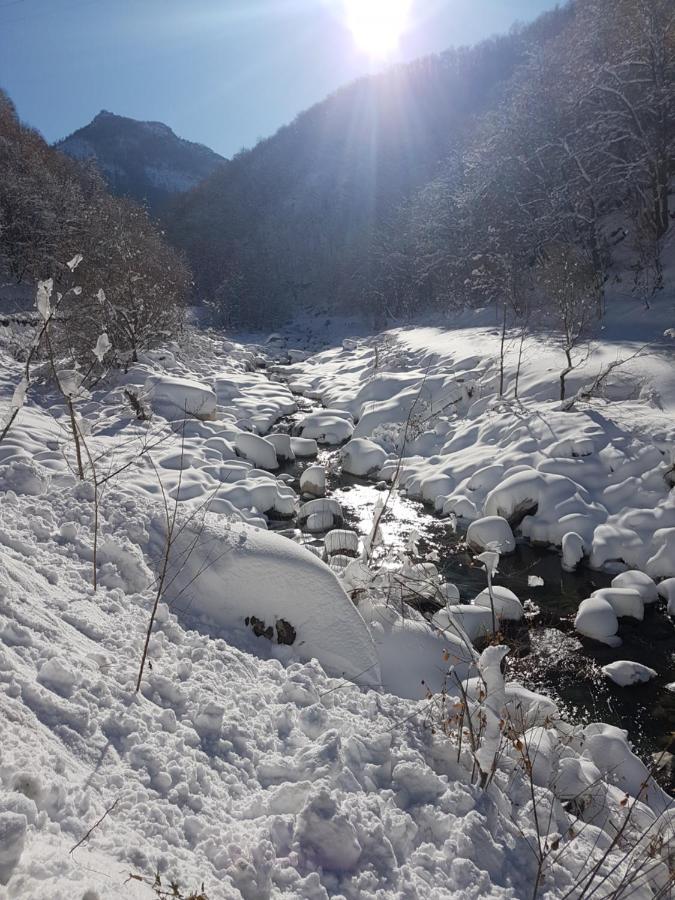 Chalets Mongioie San Giacomo  Buitenkant foto